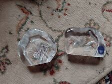 Dartington glass paperweight for sale  BRAINTREE