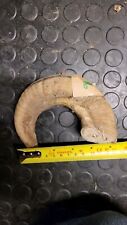 Old large horn for sale  MONTGOMERY