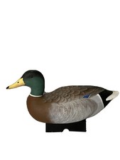 1985 mallard drake for sale  Seekonk