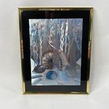 Sea shell foil for sale  Bridgeton