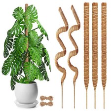 Moss pole climbing for sale  UK