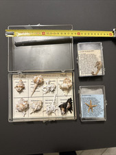 Collezione conchiglie piccola usato  Novara