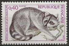 1754 raton laveur d'occasion  Clamart