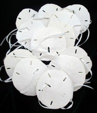Sand dollars ribbons for sale  Carmel by the Sea