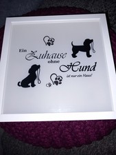 Hundebild beleuchtung gebraucht kaufen  Obrigheim