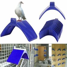 30x birds dove for sale  LONDON