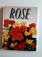 Rose remo trucchi usato  Roma
