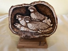 art shelf fungus for sale art shelf fungus for sale Abingdon