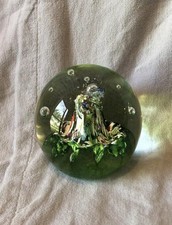 Caithness glass paperweight for sale  Fort Lauderdale