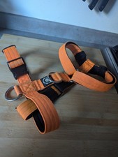 dog grooming straps for sale dog grooming straps for sale HIGH PEAK