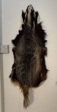 Real badger pelt for sale  PENRYN