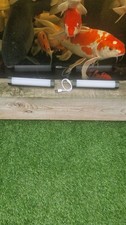 Ridgemonkey bivvy lite for sale  UK
