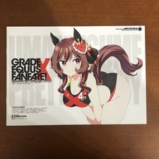 GRADE EQUUS FANFARE! X Shigino Souji Ocean Ridge Terminal Art Book Illustration comprar usado  Enviando para Brazil