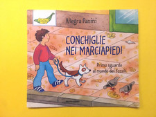 Conchiglie nei marciapiedi usato  Italia