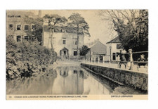 Chase side margetsons for sale  DISS
