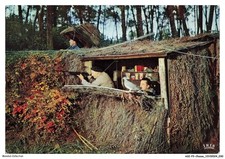 Asip3 0147 chasse d'occasion  France