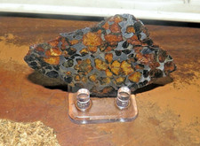 Sericho pallasite meteorite for sale  Malone