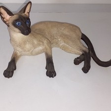 Country artists siamese for sale  BOLTON