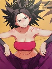 Doujinshi dragonball caulifa for sale  Newport Beach