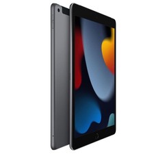 Apple iPad 10.2" 9ª Geração (WiFi+Celular) A2603 256GB Cinza Espacial – Excelente comprar usado  Enviando para Brazil