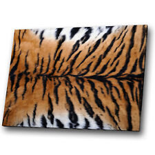 Animal canvas print for sale  STRABANE