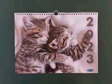 Kalender wandkalender 2023 gebraucht kaufen  Hohenfels