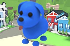 Nfr blue dog for sale  Surprise