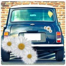 Margerite blumen auto gebraucht kaufen  Darmstadt