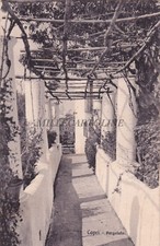 Capri pergolato 1921 usato  Roma