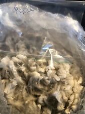 Raw untreated fine for sale  YORK