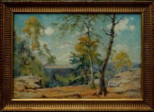Huile toile léopold d'occasion  Toulouse-