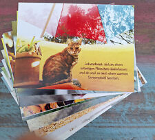 Katzen postkarten sprüchen gebraucht kaufen  Kremmen