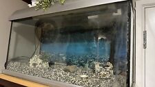 Aquarium fish tank for sale  Ireland