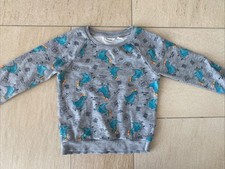 Dinosaurier pullover 98 gebraucht kaufen  Bodenwöhr