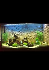 Juwel vision tank for sale  STOCKBRIDGE