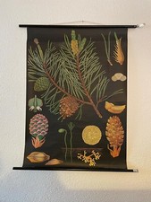 Schulwandkarte lehrtafel rollk gebraucht kaufen  Lippstadt