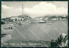 Foggia isole tremiti usato  Gambolo