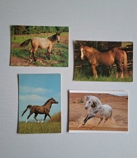 Pferdepostkarten pferde araber gebraucht kaufen  Hörstel