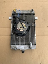 Radiatore con elettro usato  Turrivalignani