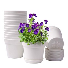 Pots plants pack for sale  Eugene