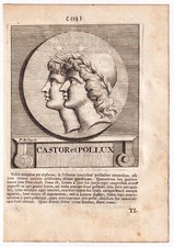 Portrait xviiie castor d'occasion  Toulouse-