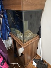 250 fish tank for sale  NEWTOWNARDS