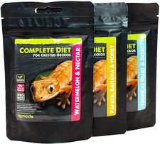 Komodo crested geckos for sale  KETTERING