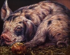 Vivi crandall pickled for sale  Grafton
