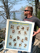 Vintage remington peters for sale  Ely