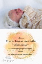 Beautiful evie reborn for sale  Jefferson