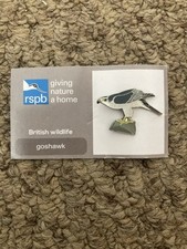goshawk for sale goshawk for sale BIGGLESWADE
