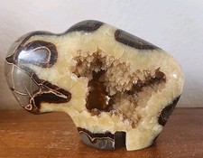 Utah septarian geode for sale  Colorado Springs