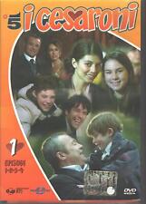 Cesaroni stagione dvd usato  Lucera