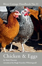 Chicken eggs river for sale  UK